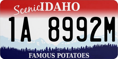 ID license plate 1A8992M