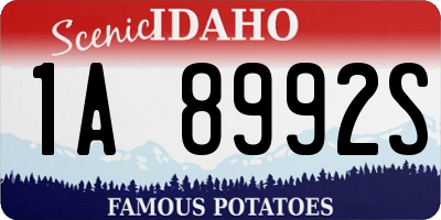 ID license plate 1A8992S