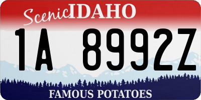ID license plate 1A8992Z
