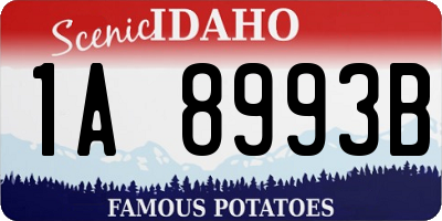 ID license plate 1A8993B