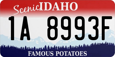 ID license plate 1A8993F