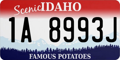 ID license plate 1A8993J