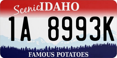 ID license plate 1A8993K