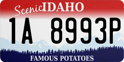 ID license plate 1A8993P