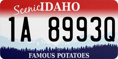 ID license plate 1A8993Q