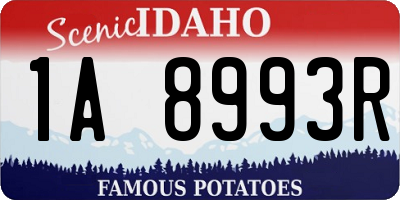 ID license plate 1A8993R