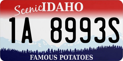 ID license plate 1A8993S