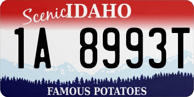 ID license plate 1A8993T