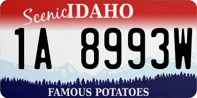 ID license plate 1A8993W