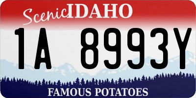 ID license plate 1A8993Y