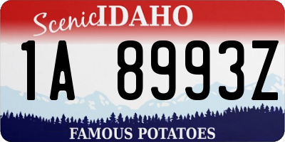 ID license plate 1A8993Z