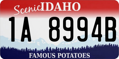 ID license plate 1A8994B
