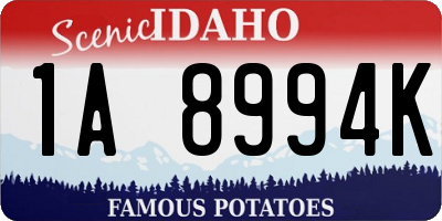 ID license plate 1A8994K