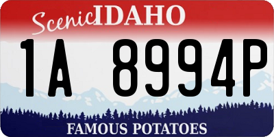 ID license plate 1A8994P