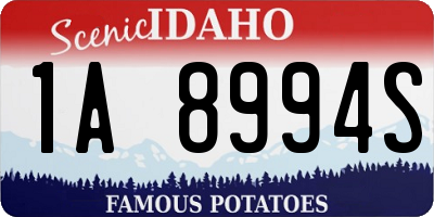 ID license plate 1A8994S
