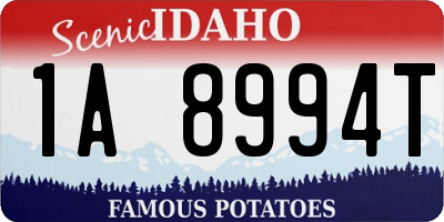 ID license plate 1A8994T
