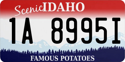 ID license plate 1A8995I