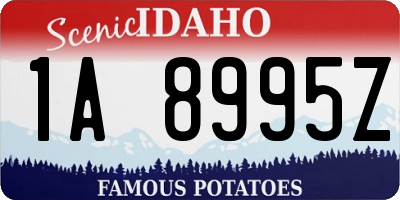 ID license plate 1A8995Z