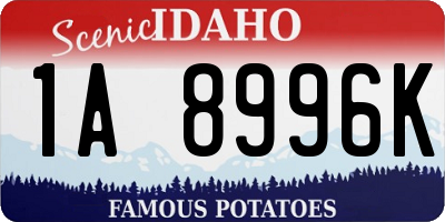 ID license plate 1A8996K