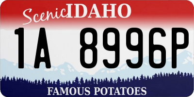 ID license plate 1A8996P