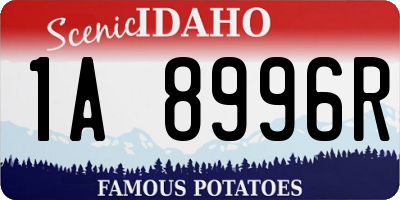 ID license plate 1A8996R