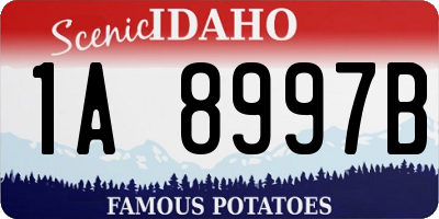 ID license plate 1A8997B