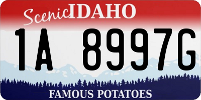 ID license plate 1A8997G