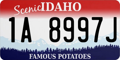 ID license plate 1A8997J