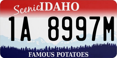 ID license plate 1A8997M