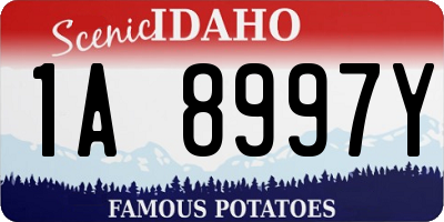 ID license plate 1A8997Y