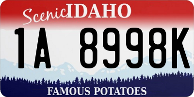 ID license plate 1A8998K