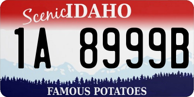 ID license plate 1A8999B