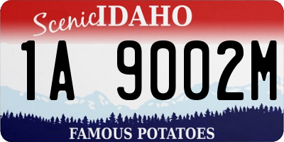 ID license plate 1A9002M