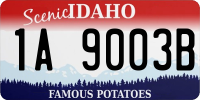 ID license plate 1A9003B
