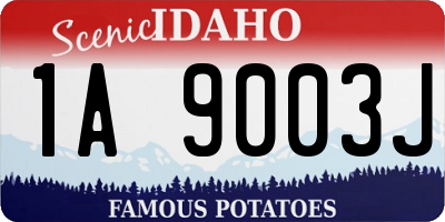 ID license plate 1A9003J