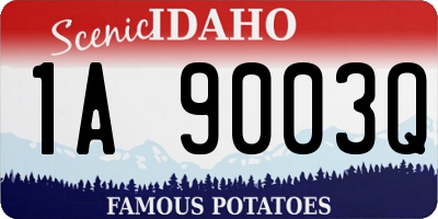 ID license plate 1A9003Q