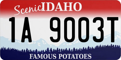 ID license plate 1A9003T