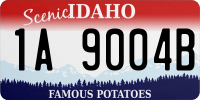 ID license plate 1A9004B