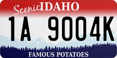 ID license plate 1A9004K