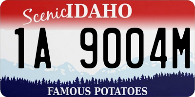 ID license plate 1A9004M