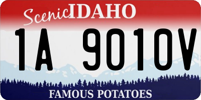 ID license plate 1A9010V