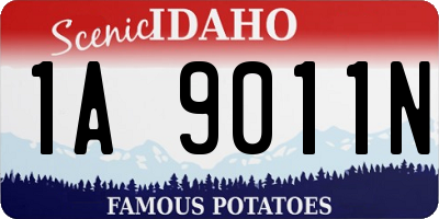 ID license plate 1A9011N