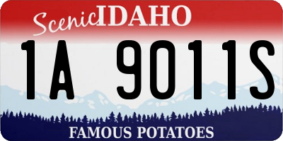 ID license plate 1A9011S