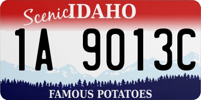 ID license plate 1A9013C