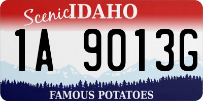 ID license plate 1A9013G