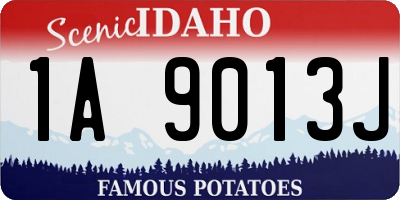 ID license plate 1A9013J