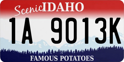 ID license plate 1A9013K