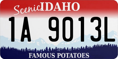 ID license plate 1A9013L
