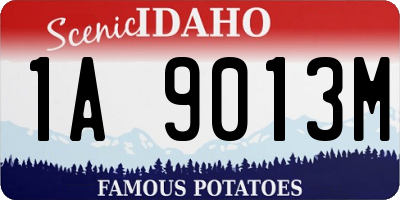 ID license plate 1A9013M