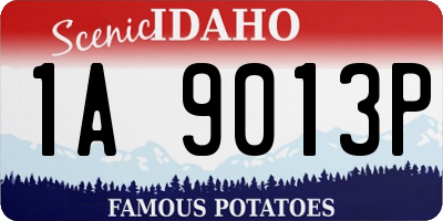 ID license plate 1A9013P